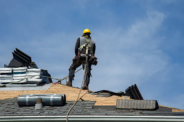 Professional Metal Roofing technician working in Leicester, NY